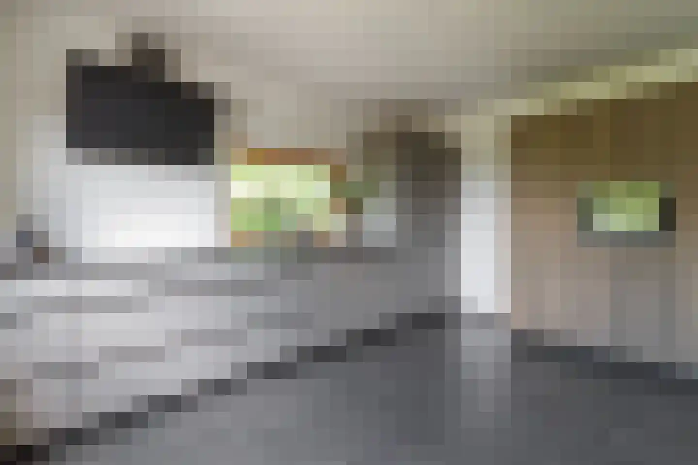 Hoogstraat 58 Echt thumbnail 20