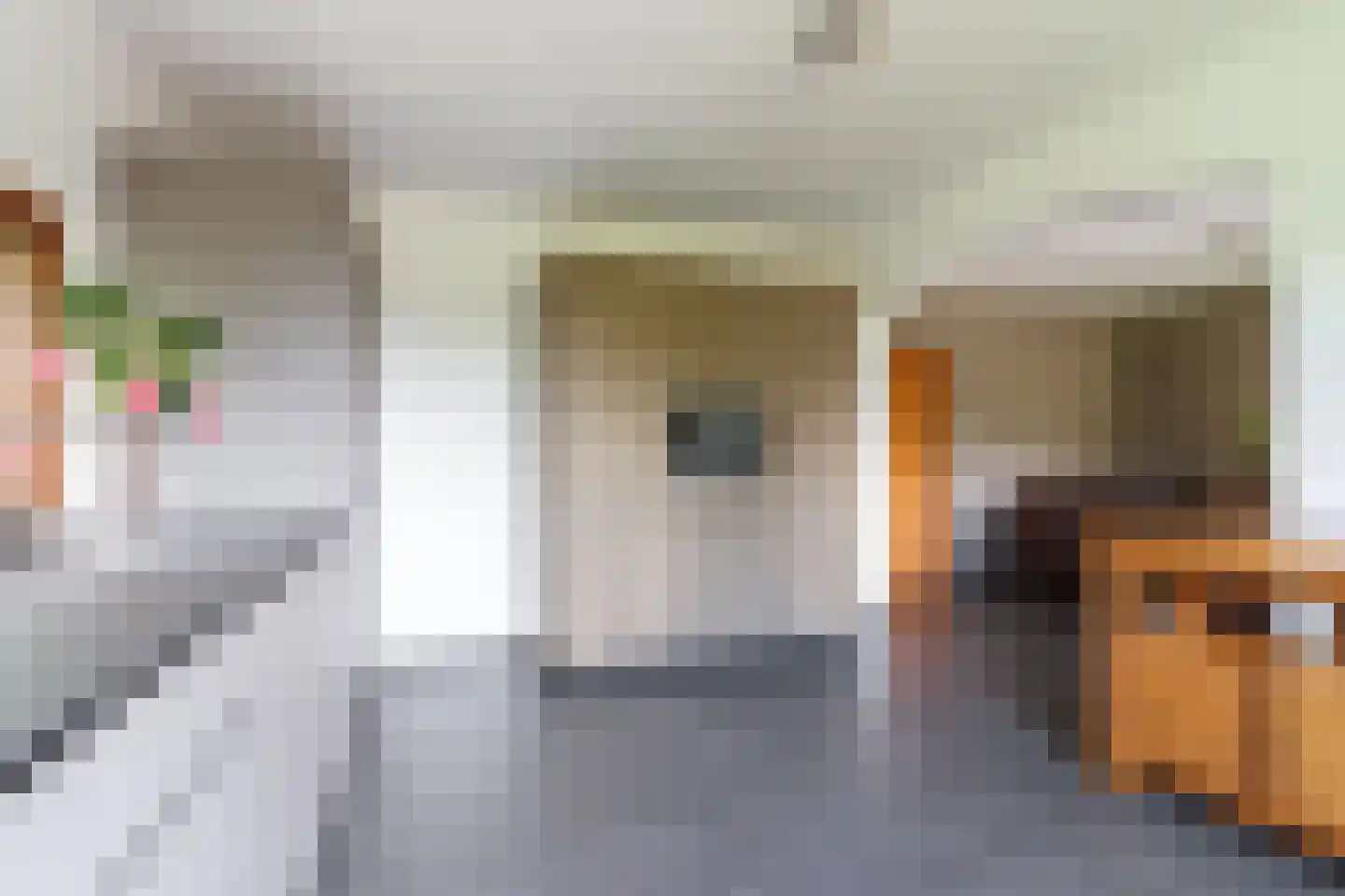 Hoogstraat 58 Echt thumbnail 21