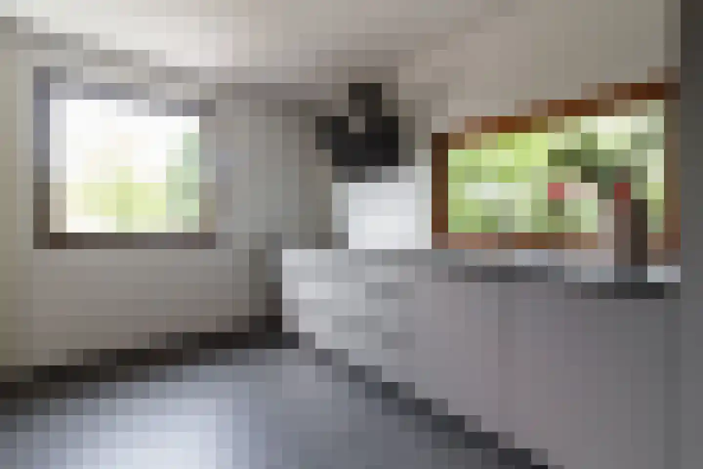 Hoogstraat 58 Echt thumbnail 22