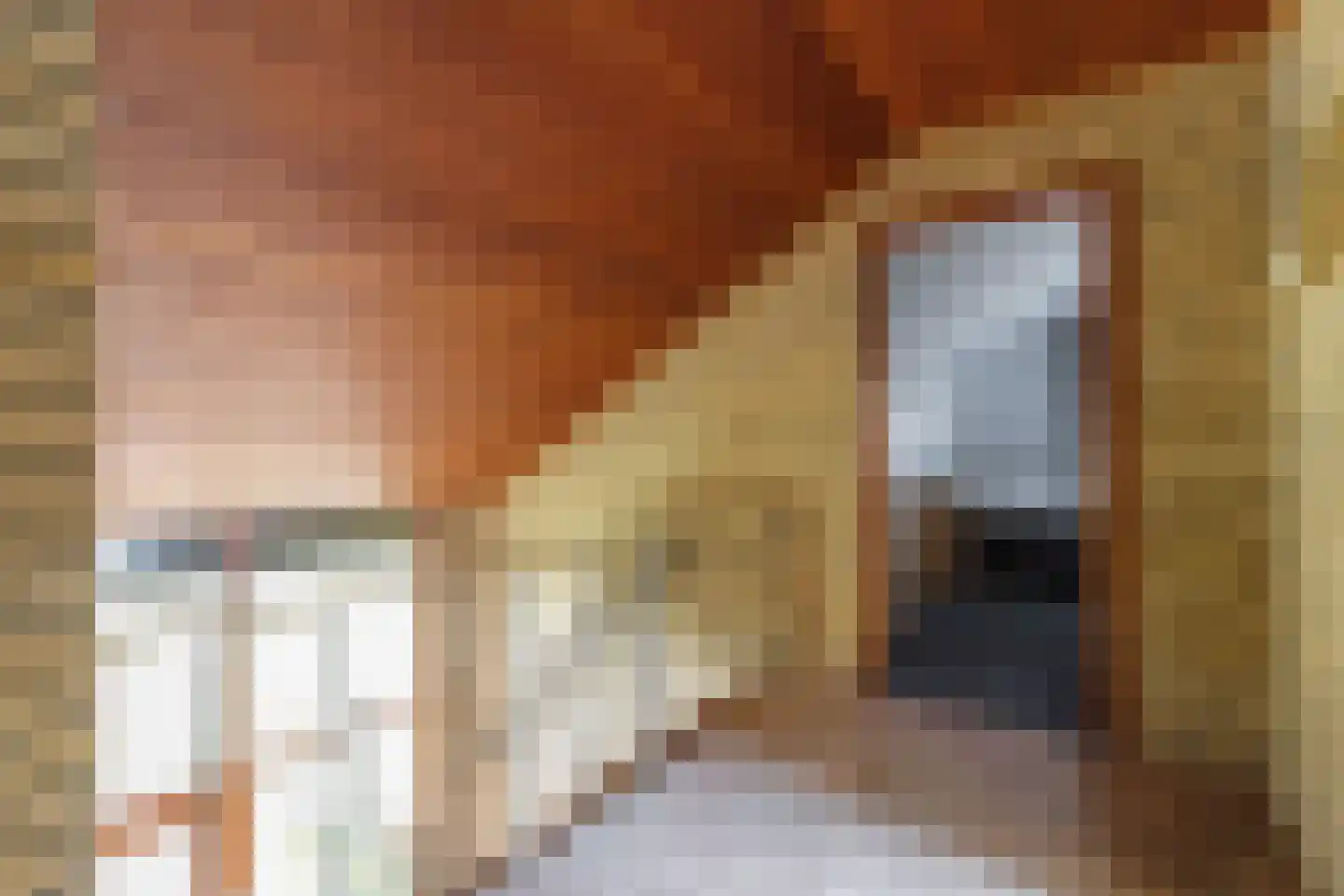 Hoogstraat 58 Echt thumbnail 25