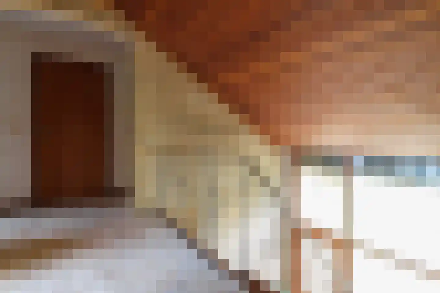 Hoogstraat 58 Echt thumbnail 26