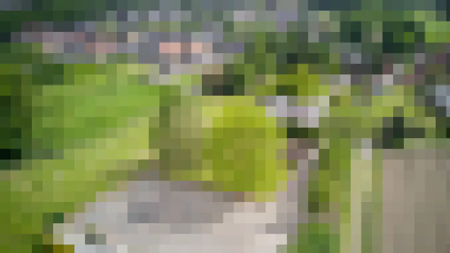 Hoogstraat 58 Echt thumbnail 39