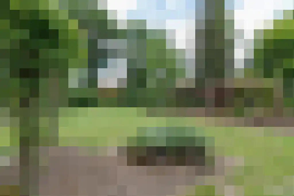 Hoogstraat 58 Echt thumbnail 46