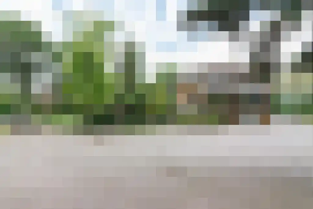 Hoogstraat 58 Echt thumbnail 47