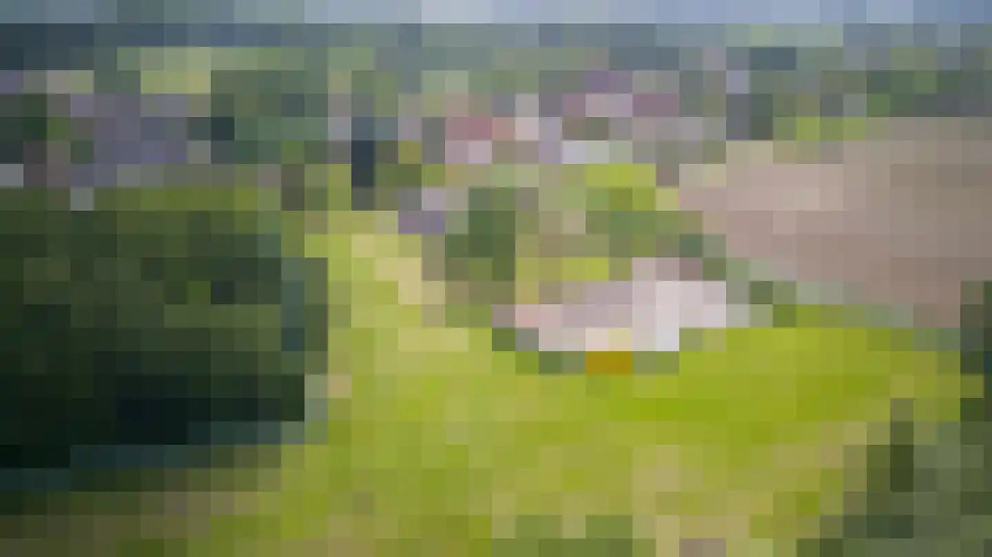 Hoogstraat 58 Echt thumbnail 6