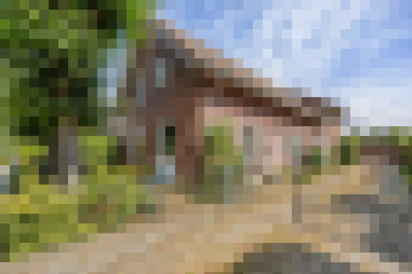 Hoogstraat 59 Echt thumbnail 11
