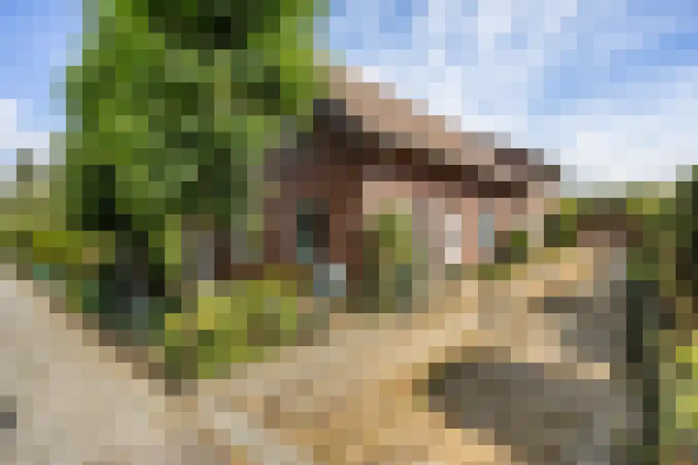 Hoogstraat 59 Echt thumbnail 12