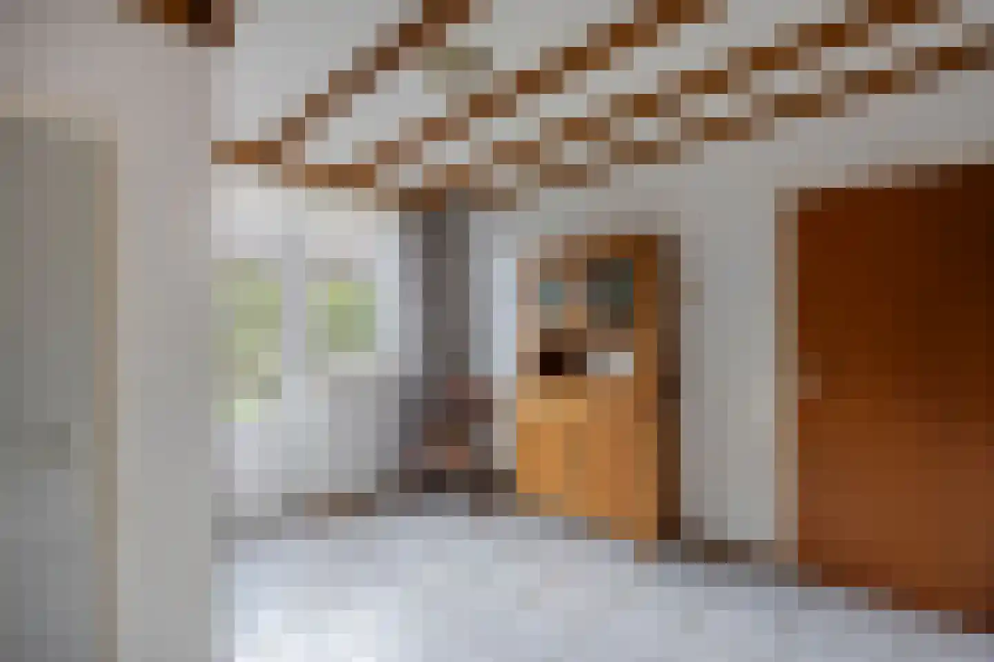Hoogstraat 59 Echt thumbnail 33