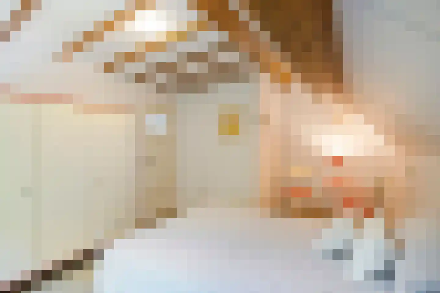 Hoogstraat 59 Echt thumbnail 37