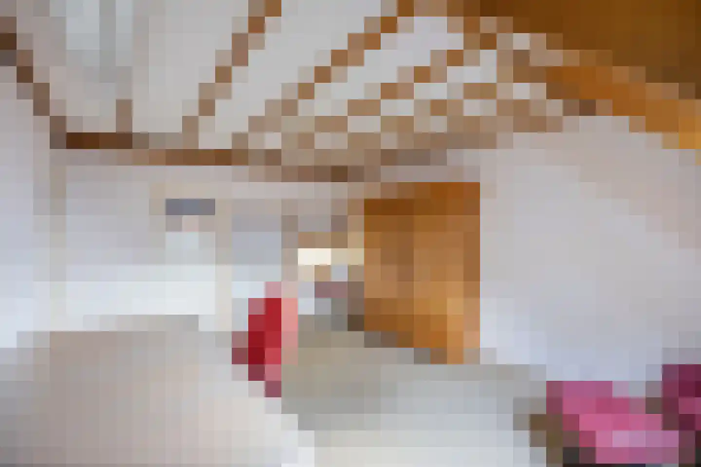 Hoogstraat 59 Echt thumbnail 40