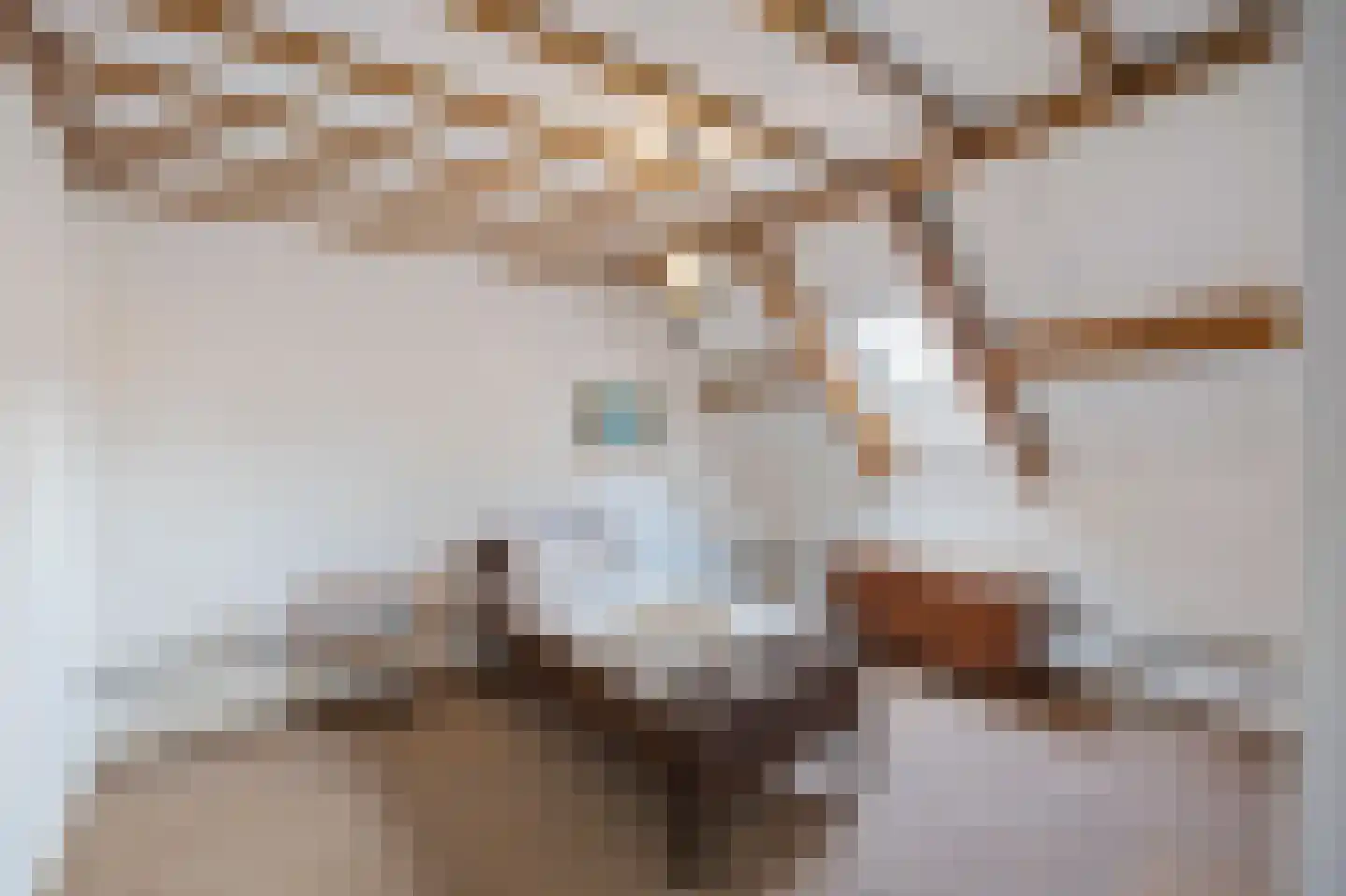 Hoogstraat 59 Echt thumbnail 41