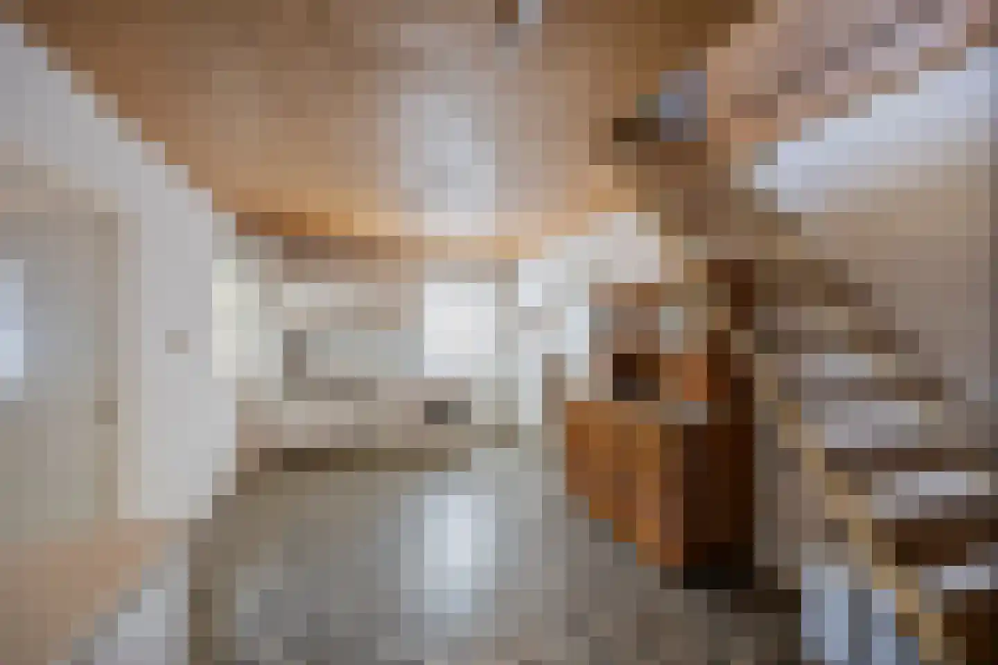 Hoogstraat 59 Echt thumbnail 45
