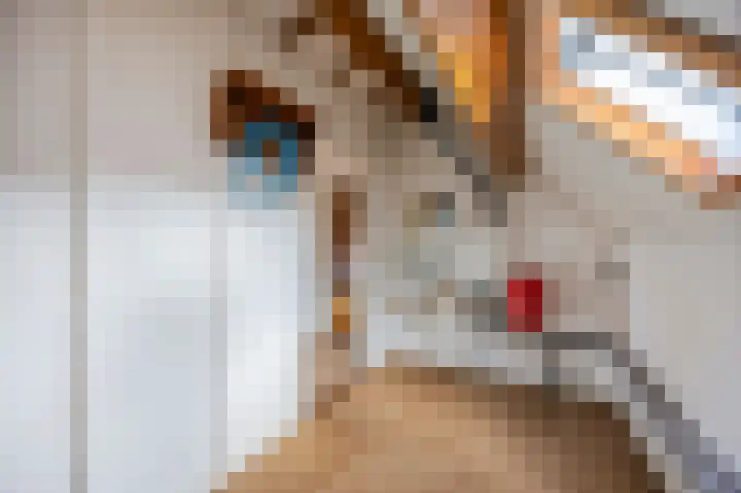 Hoogstraat 59 Echt thumbnail 48