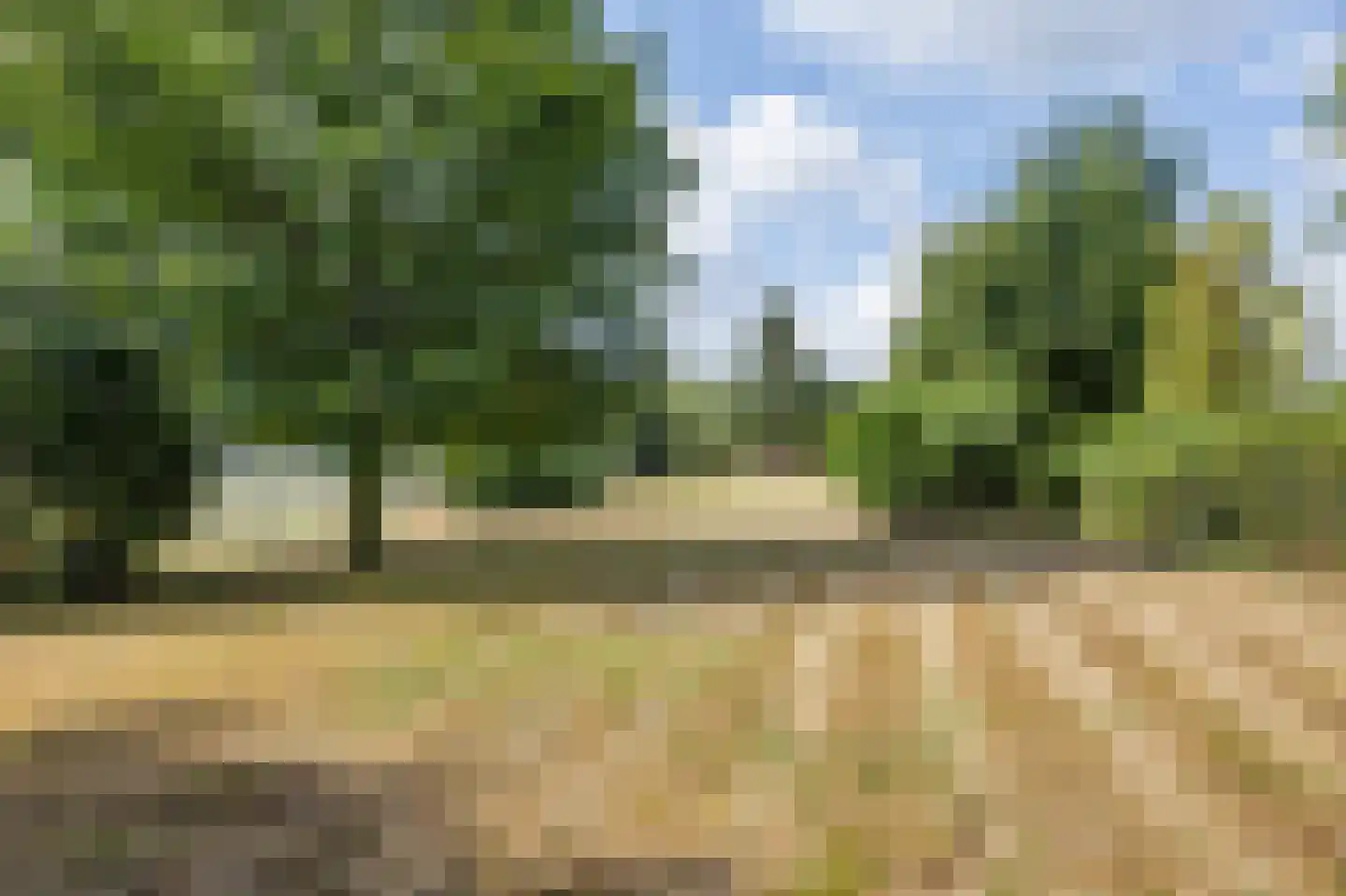 Hoogstraat 59 Echt thumbnail 5