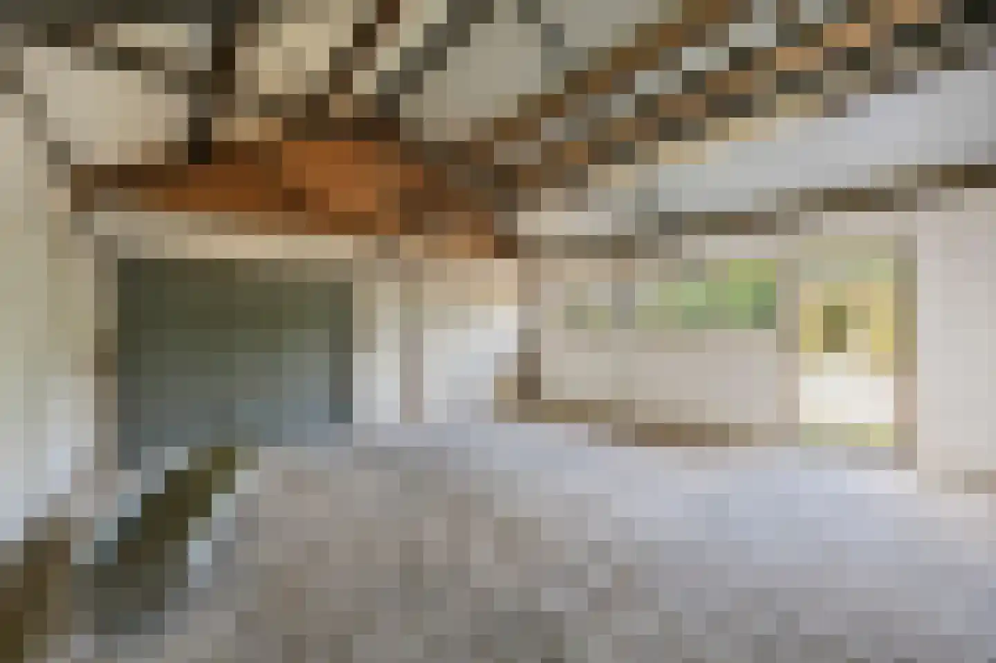 Hoogstraat 59 Echt thumbnail 64