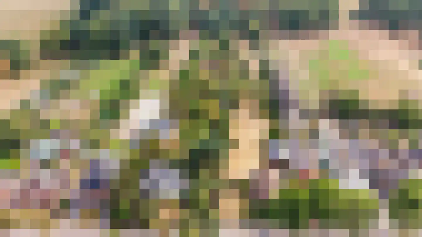 Hoogstraat 59 Echt thumbnail 69