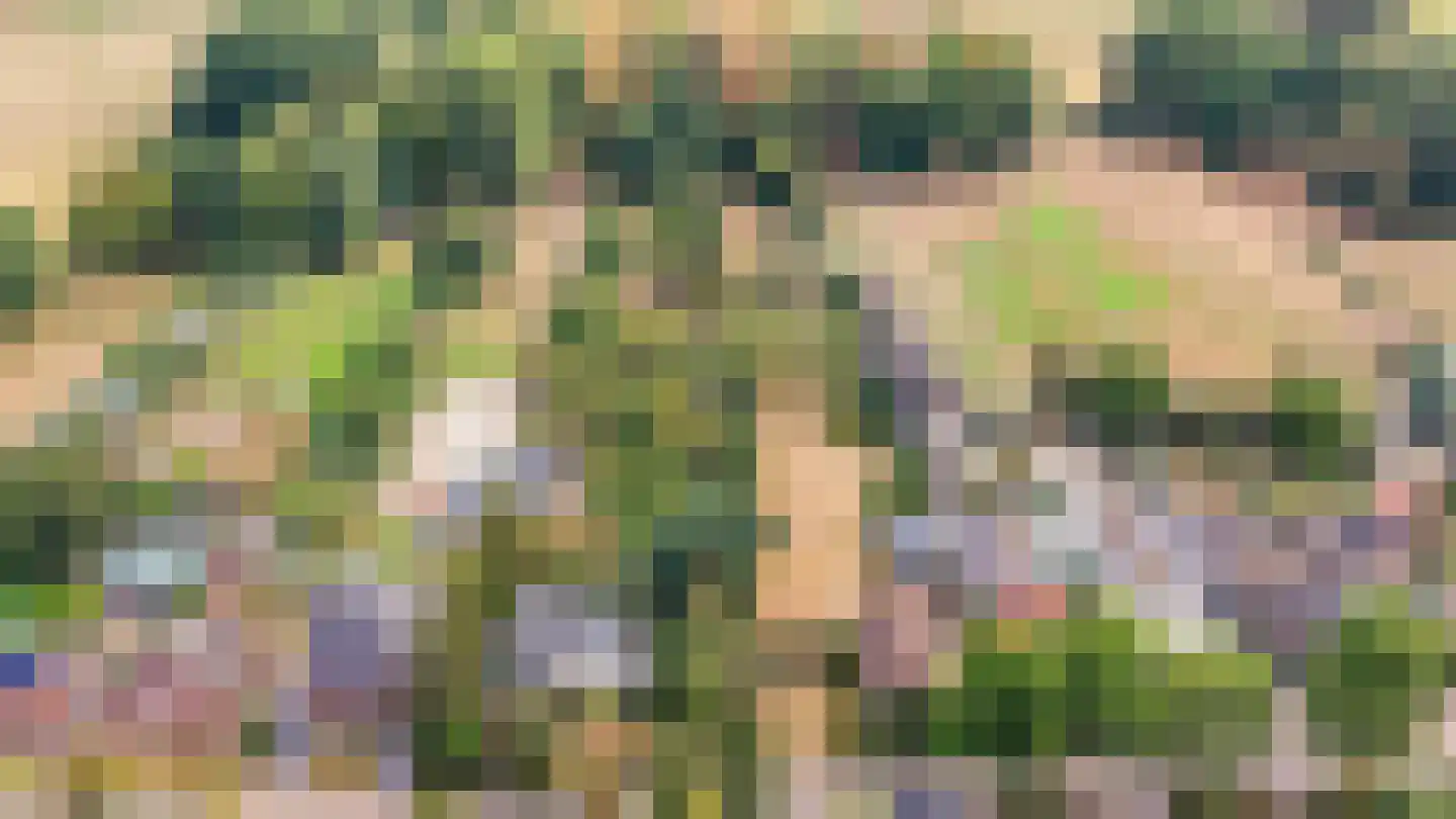 Hoogstraat 59 Echt thumbnail 70