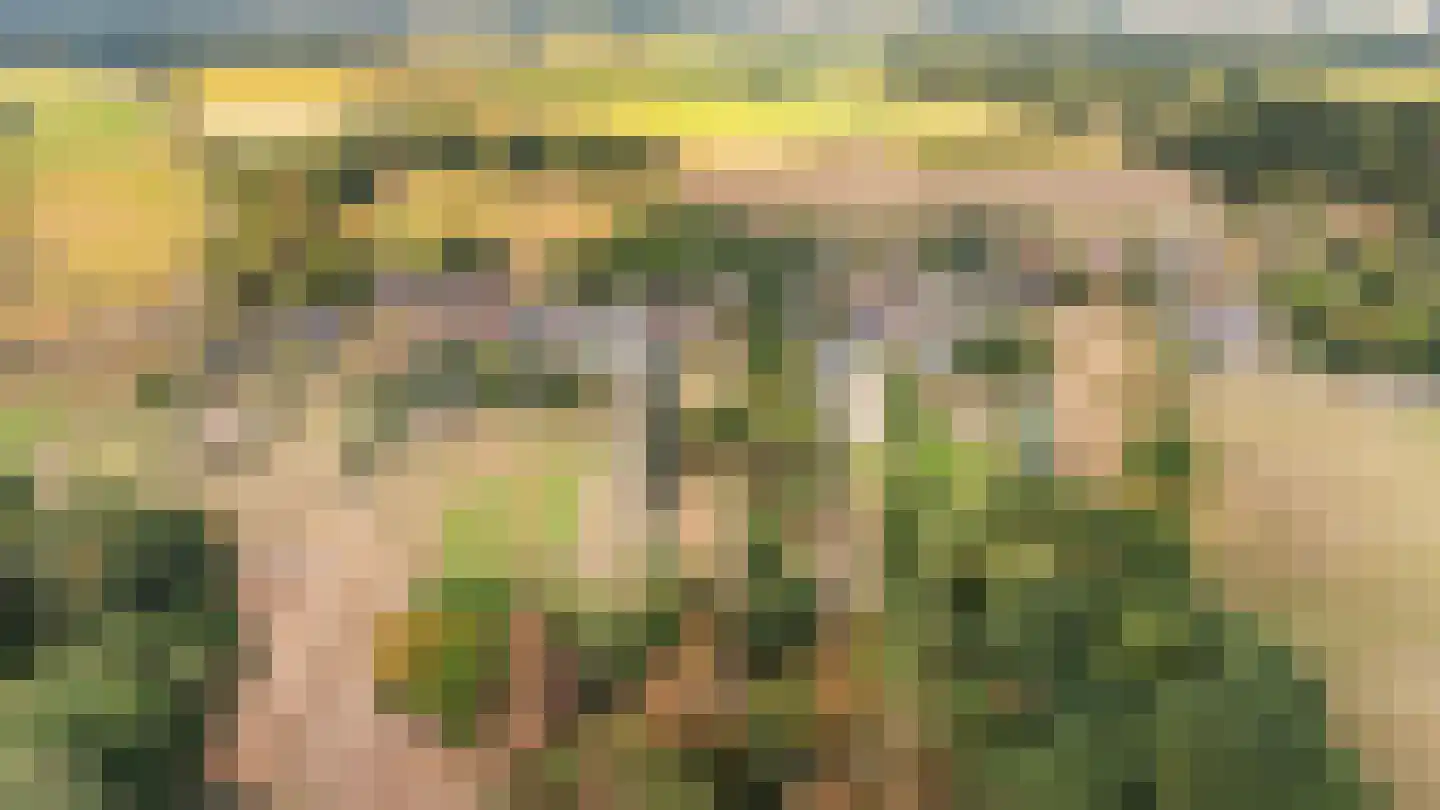 Hoogstraat 59 Echt thumbnail 71