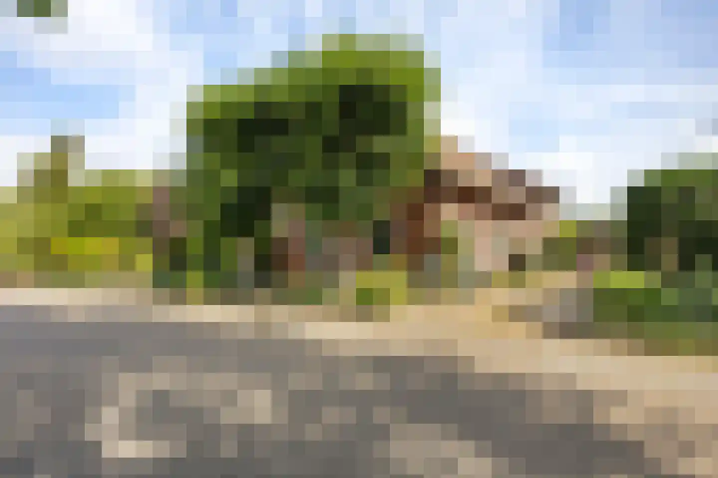 Hoogstraat 59 Echt thumbnail 9