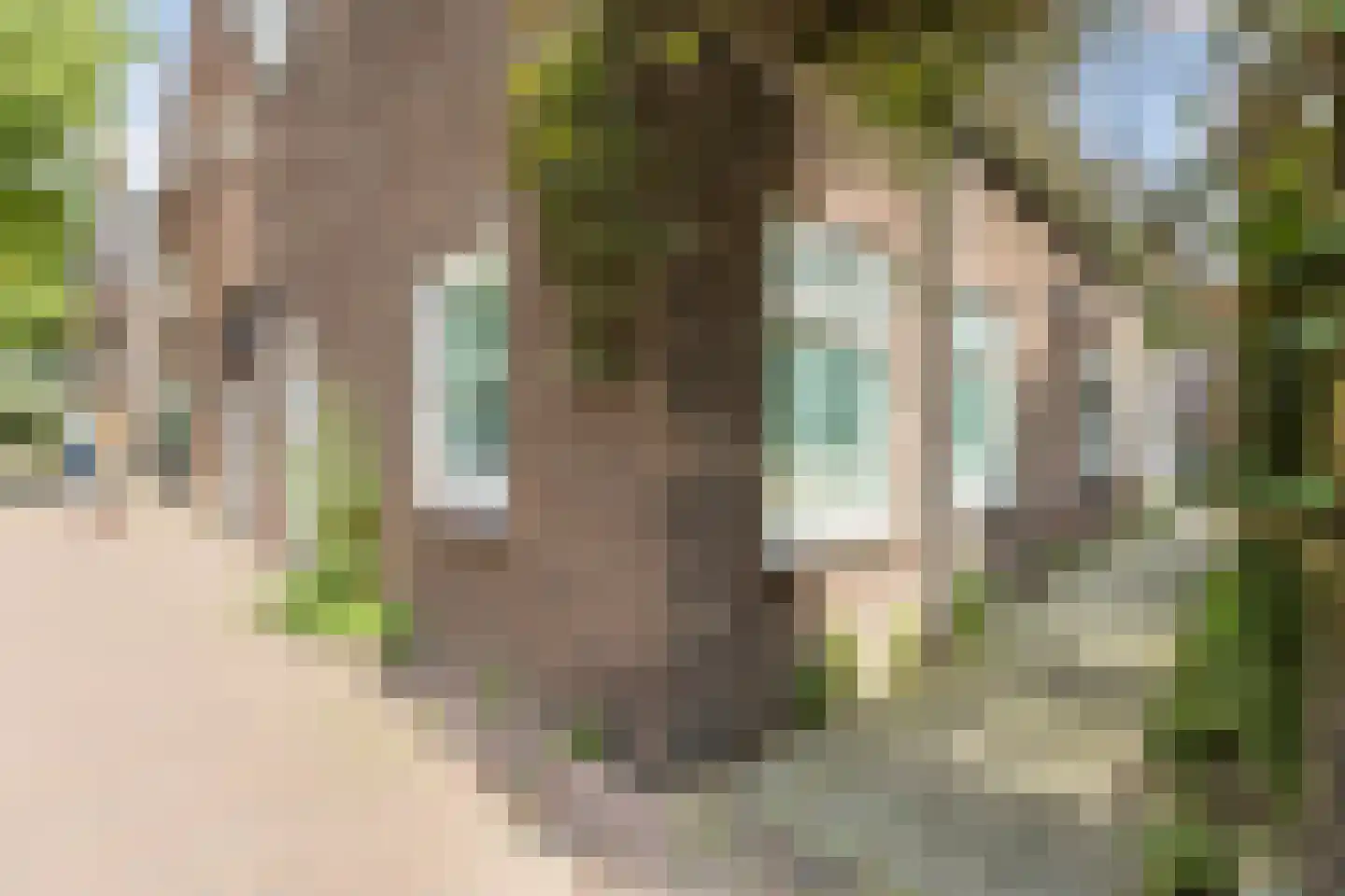 Hoogstraat 6 A Wageningen thumbnail 52