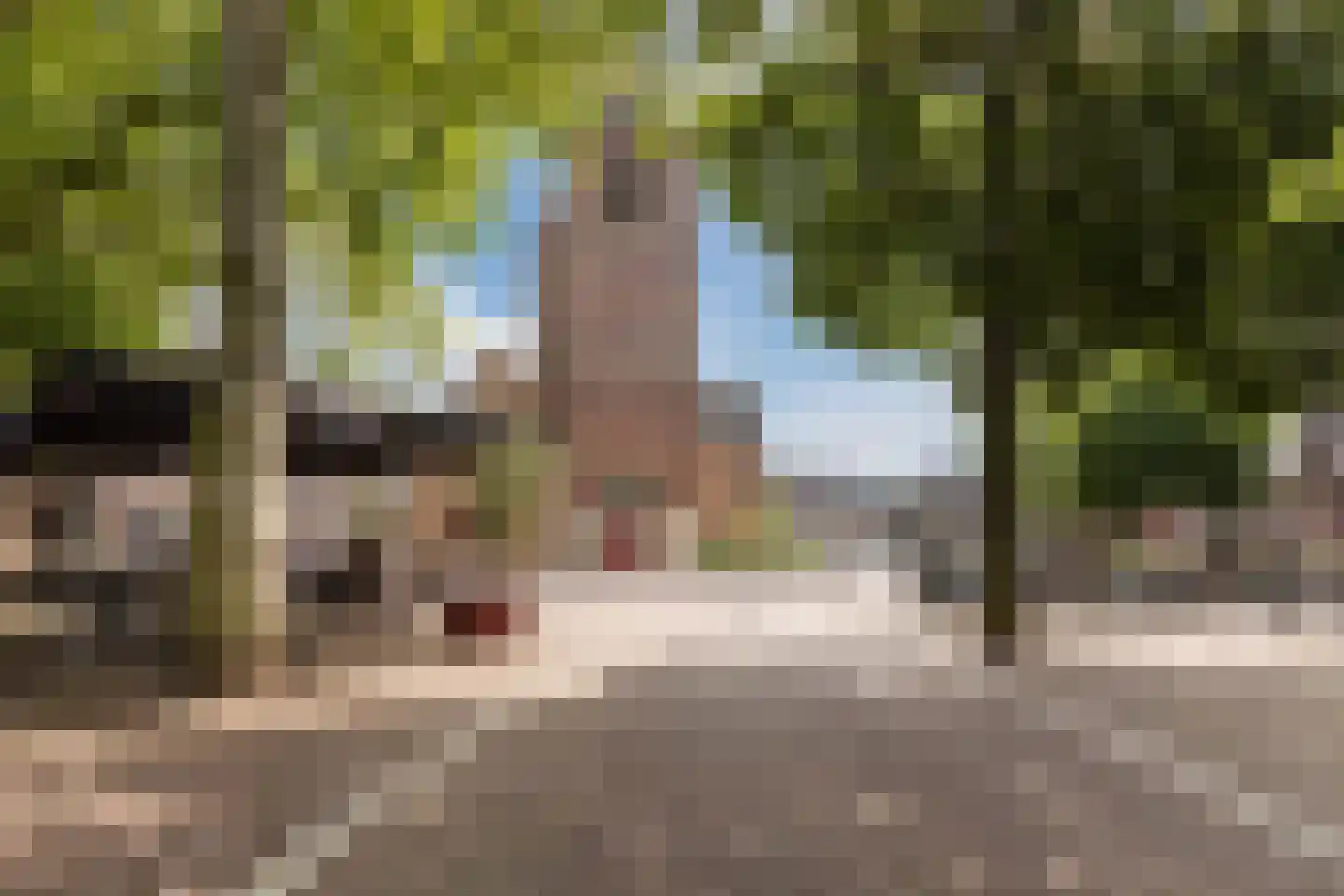 Hoogstraat 6 A Wageningen thumbnail 56