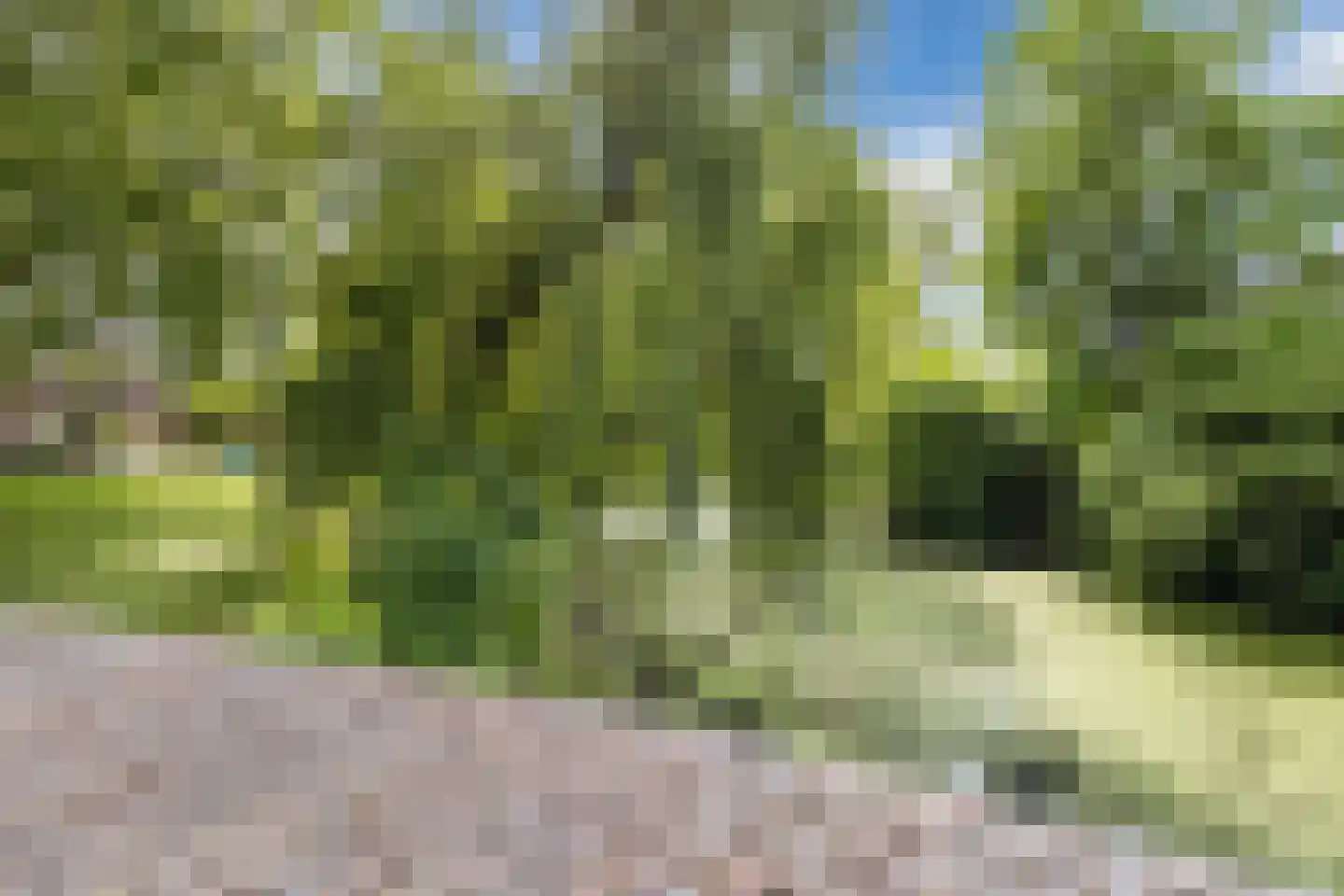 Hoogstraat 6 A Wageningen thumbnail 60