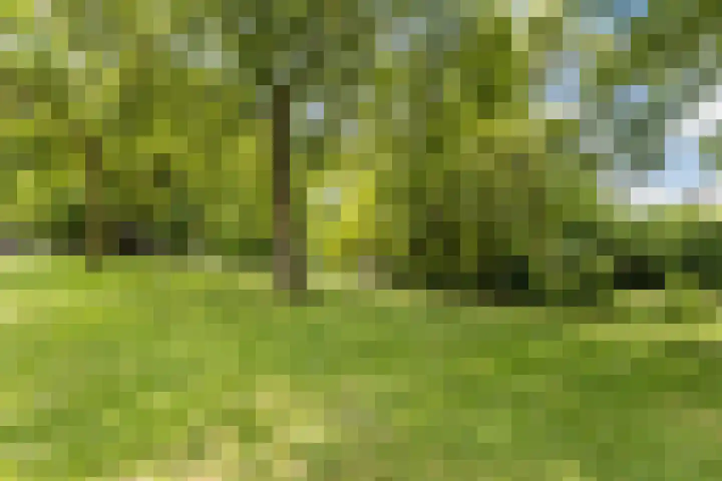 Hoogstraat 6 A Wageningen thumbnail 61