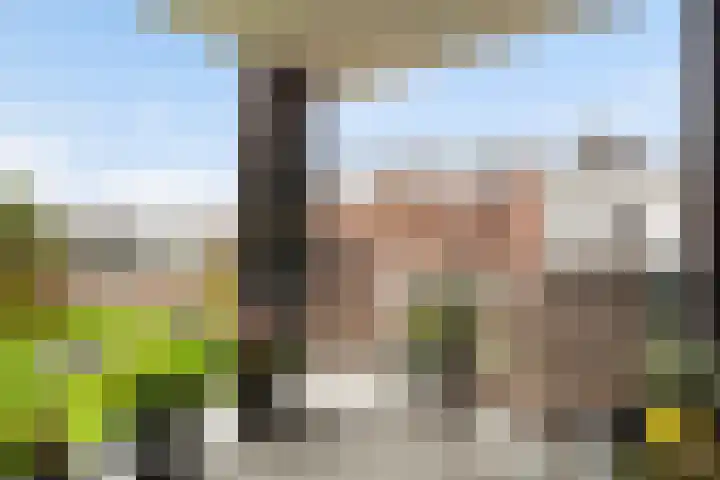 Hoogstraat 6 Vlaardingen thumbnail 20