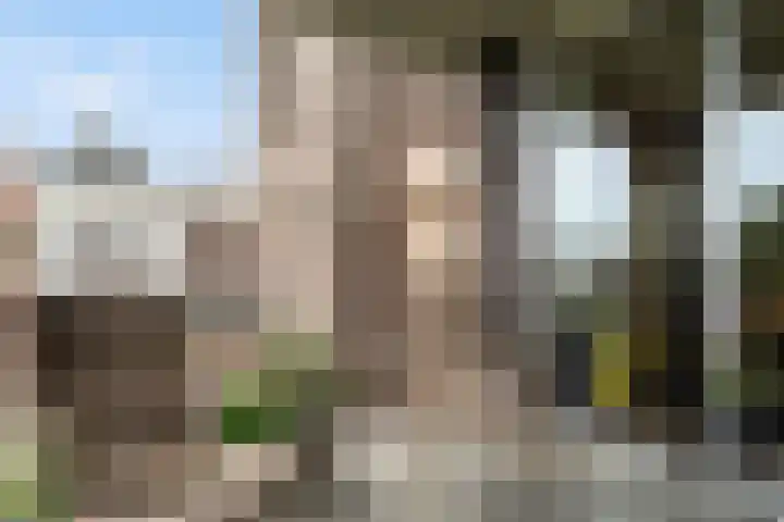 Hoogstraat 6 Vlaardingen thumbnail 22