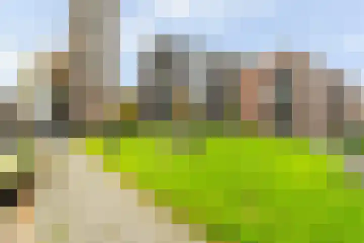 Hoogstraat 6 Vlaardingen thumbnail 5
