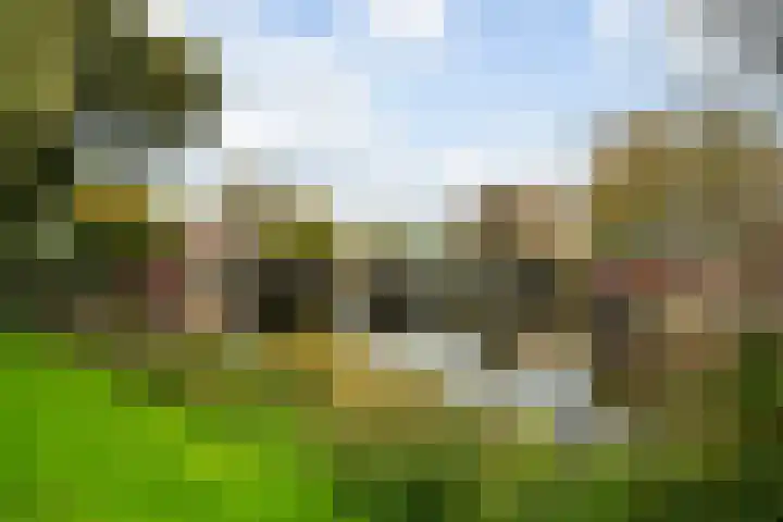 Hoogstraat 6 Vlaardingen thumbnail 50