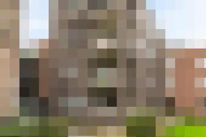 Hoogstraat 6 Vlaardingen thumbnail 6