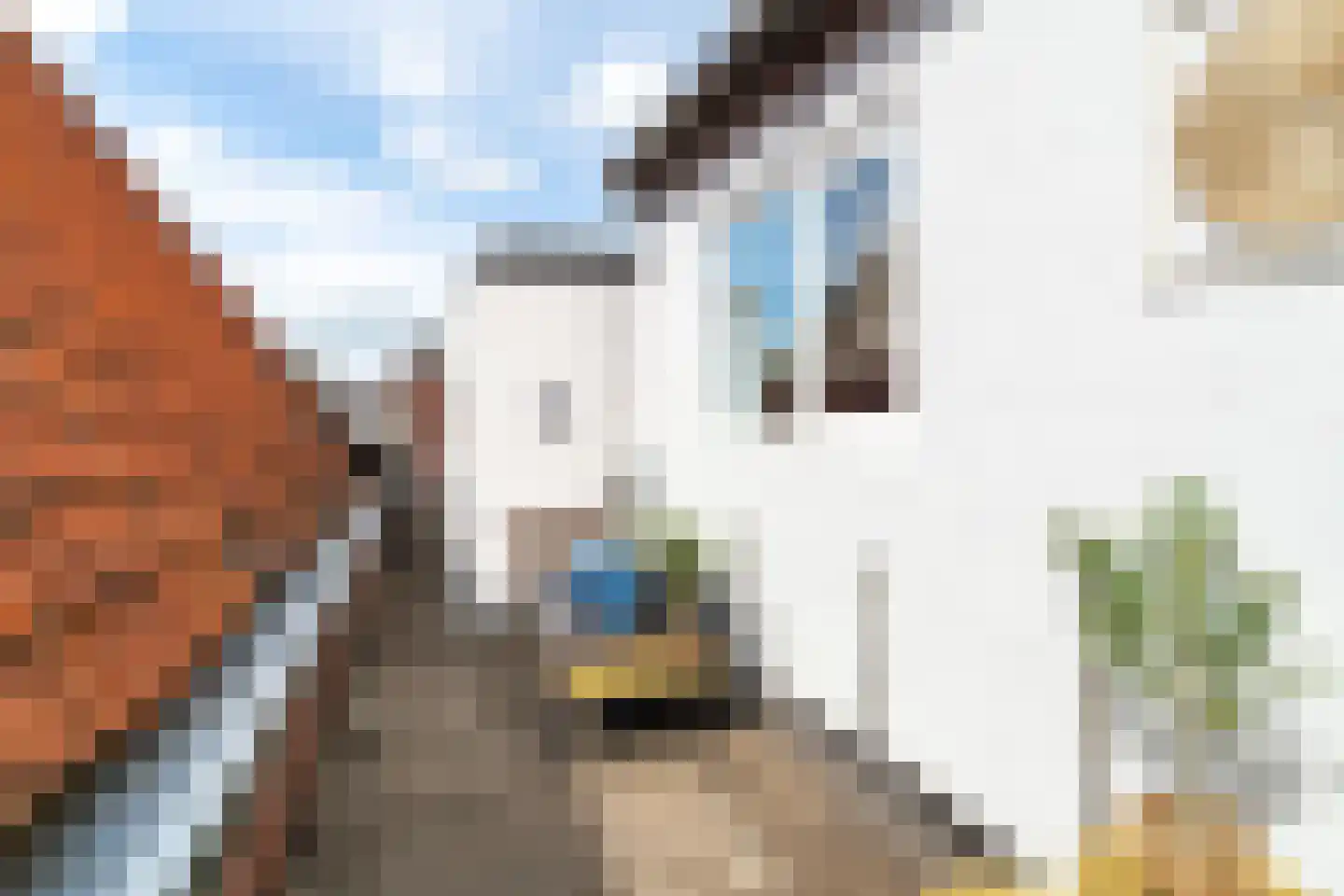 Hoogstraat 60 Werkendam thumbnail 27
