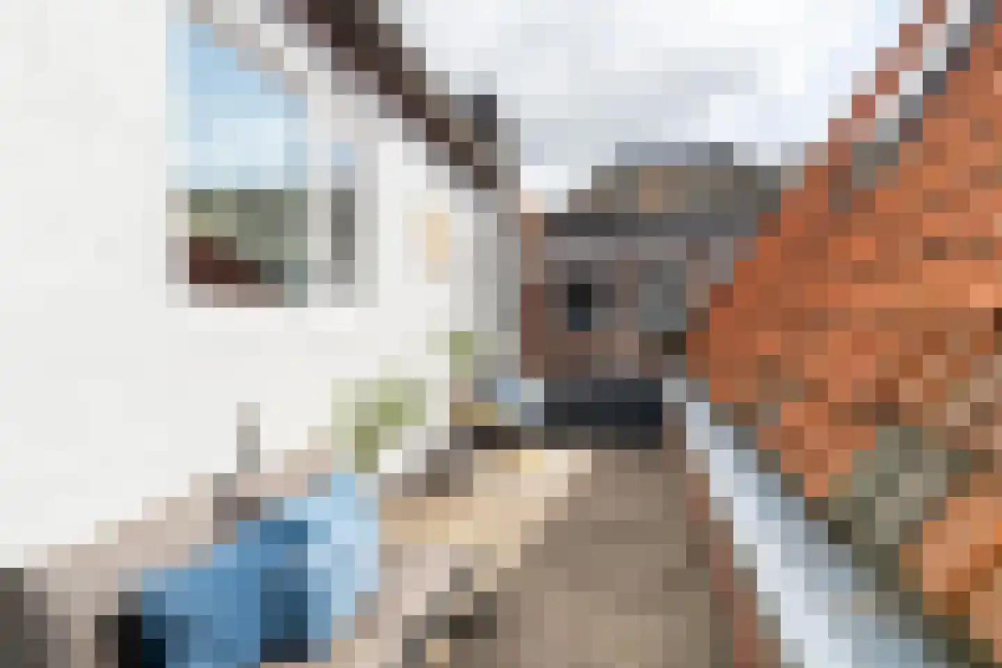 Hoogstraat 60 Werkendam thumbnail 28