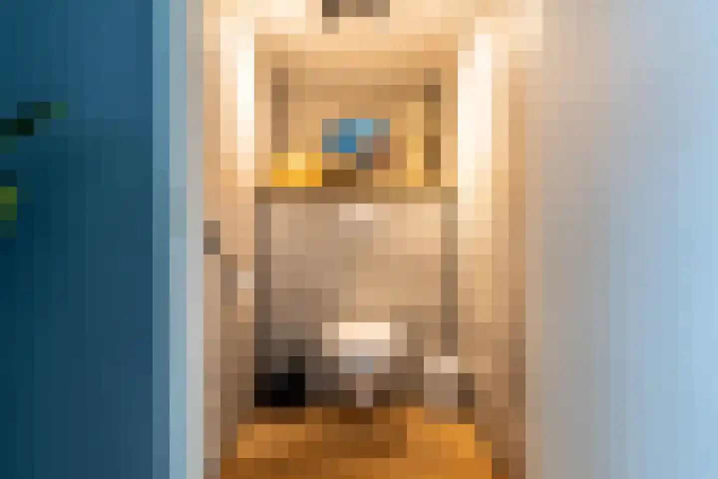 Hoogstraat 60 Werkendam thumbnail 8
