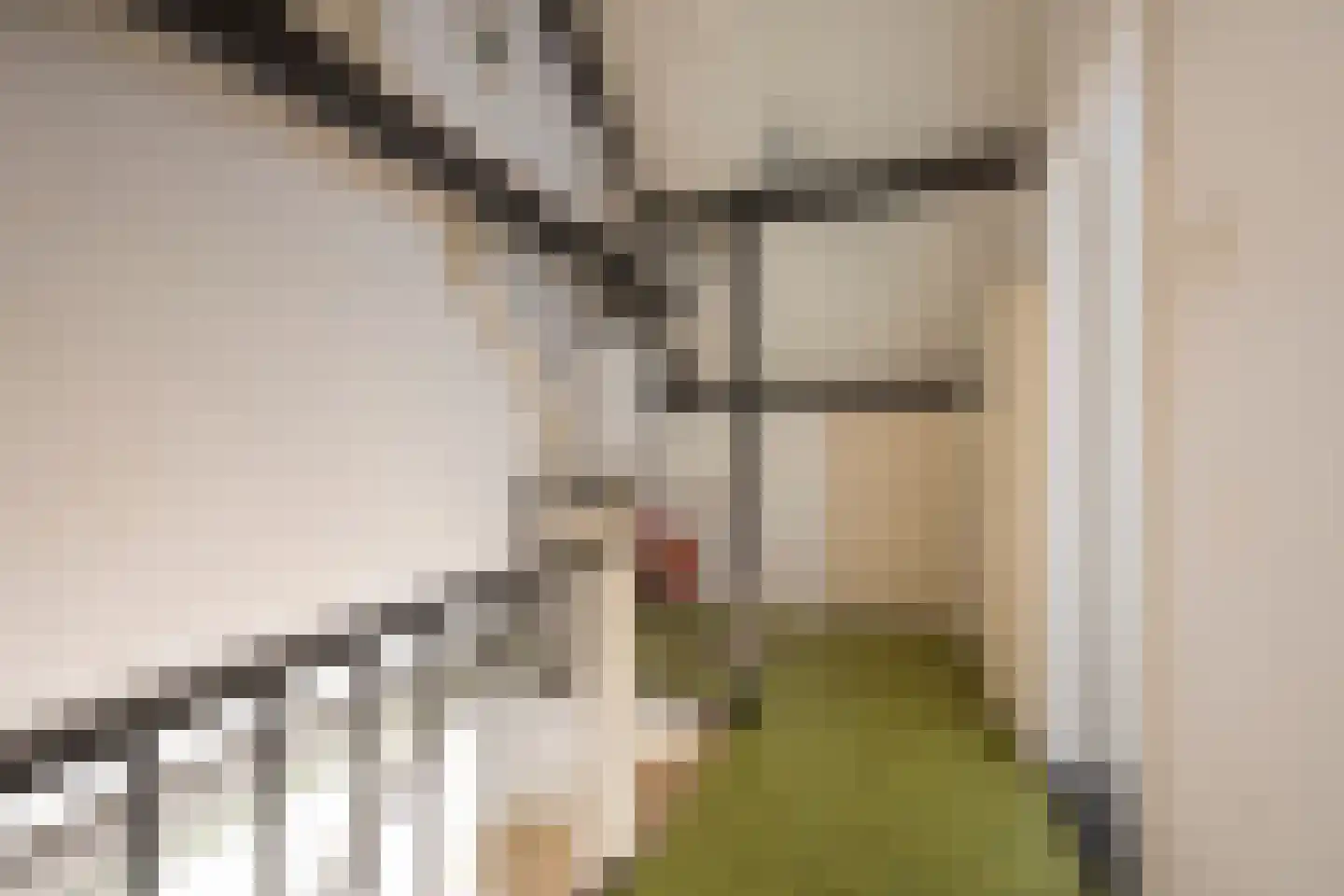 Hoogstraat 61 Nijkerk thumbnail 25