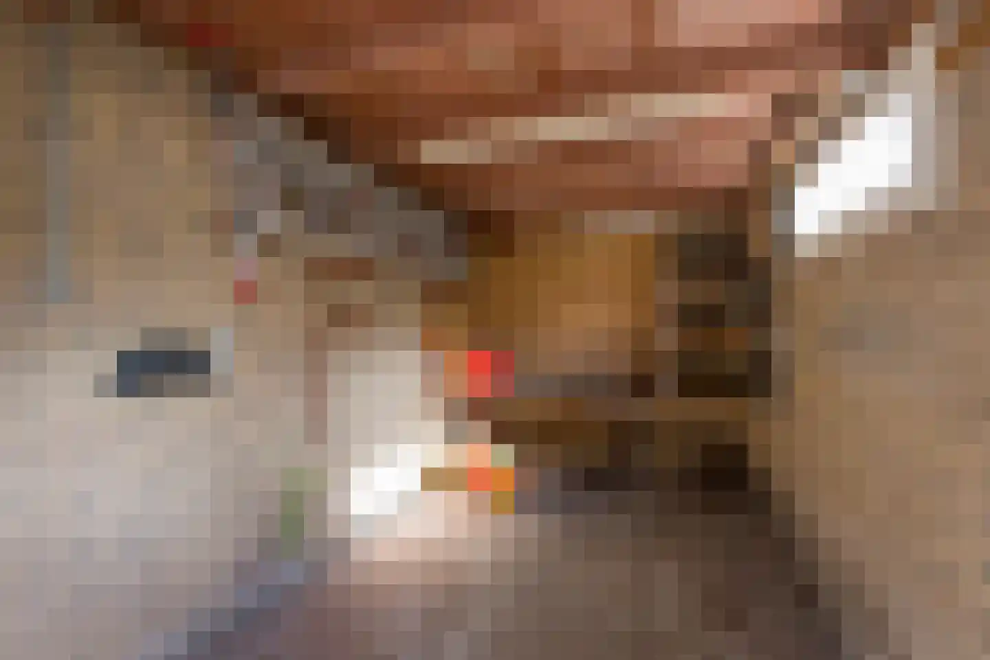 Hoogstraat 61 Nijkerk thumbnail 28