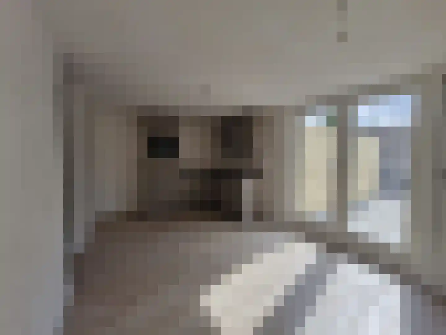 Hoogstraat 62 01 Goirle thumbnail 4