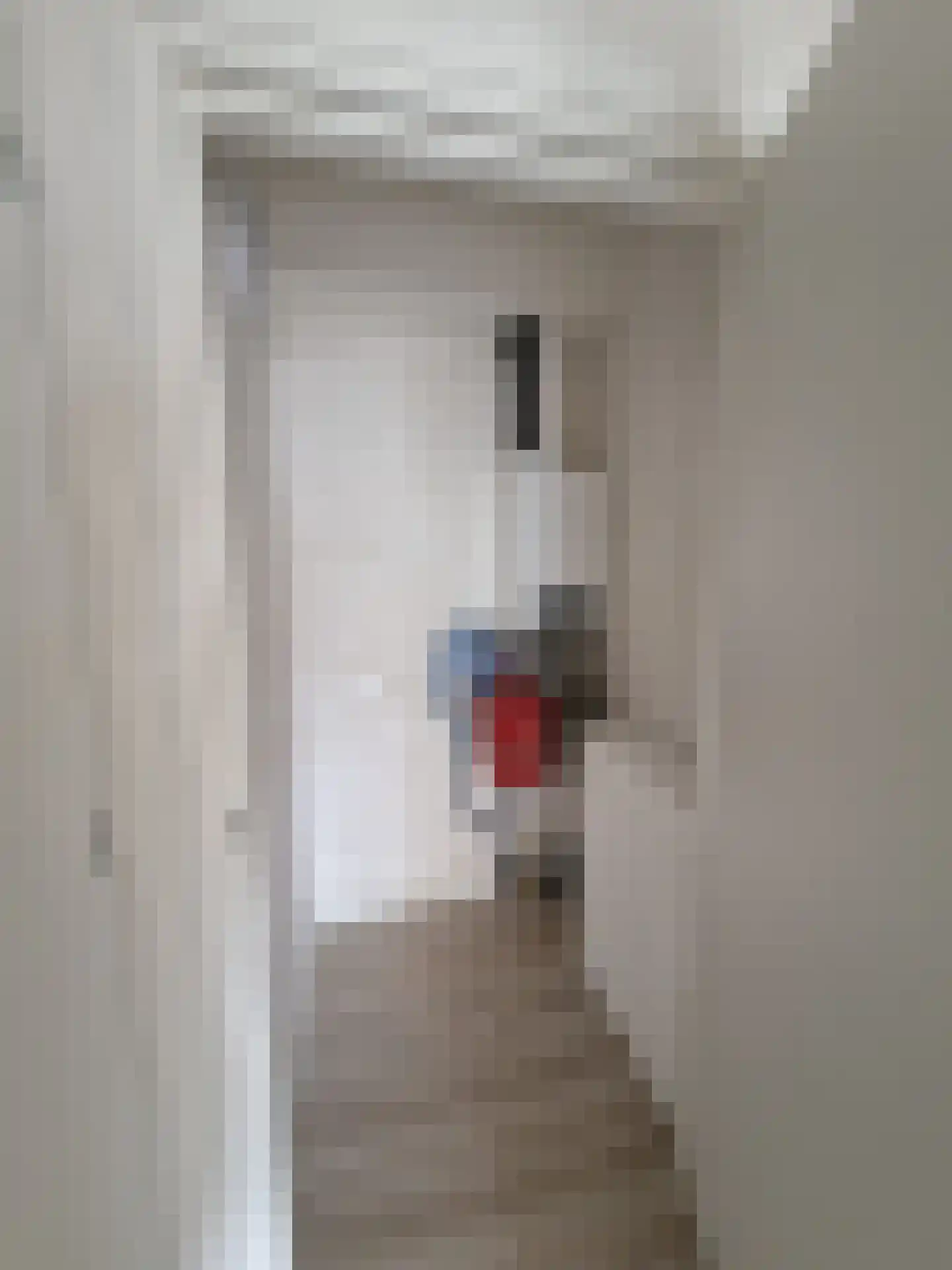 Hoogstraat 62 Goirle thumbnail 10