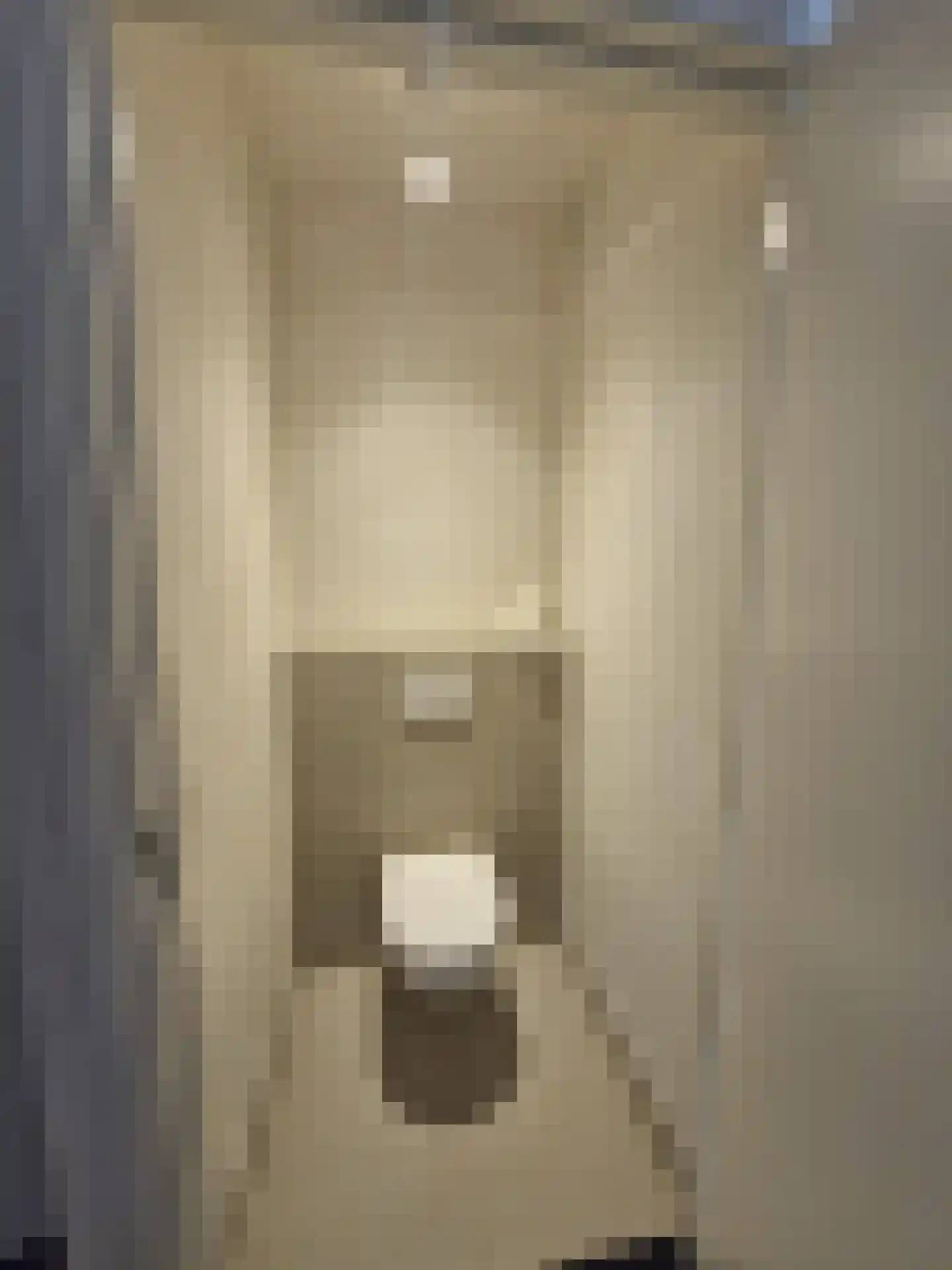 Hoogstraat 62 Goirle thumbnail 11