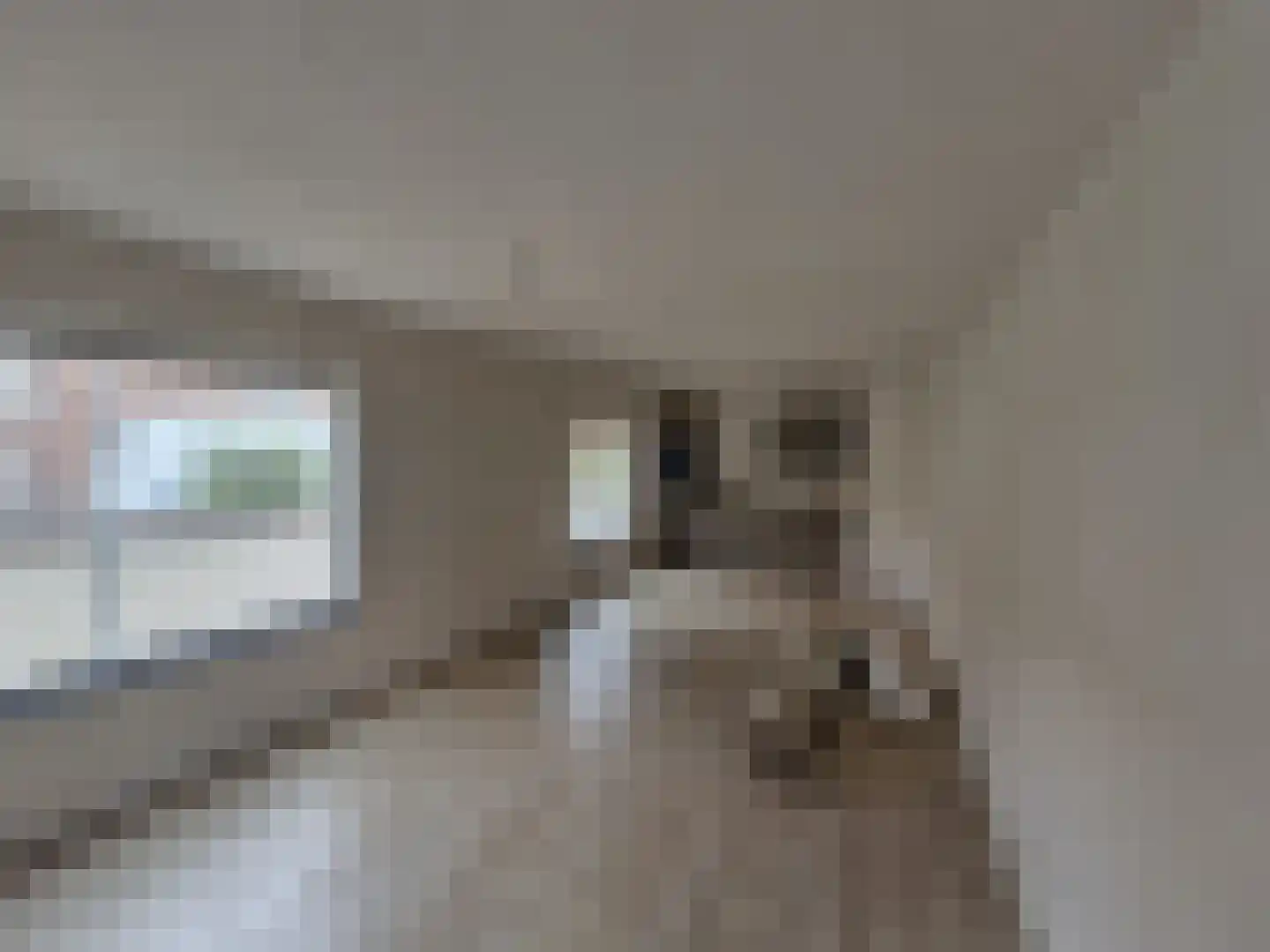 Hoogstraat 62 Goirle thumbnail 4