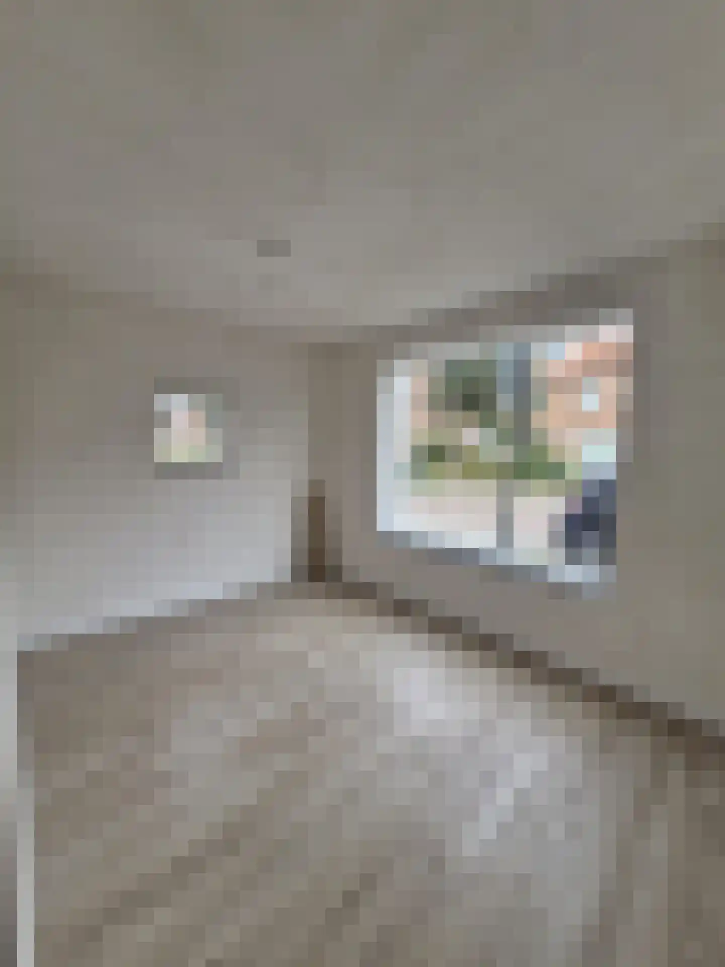 Hoogstraat 62 Goirle thumbnail 6