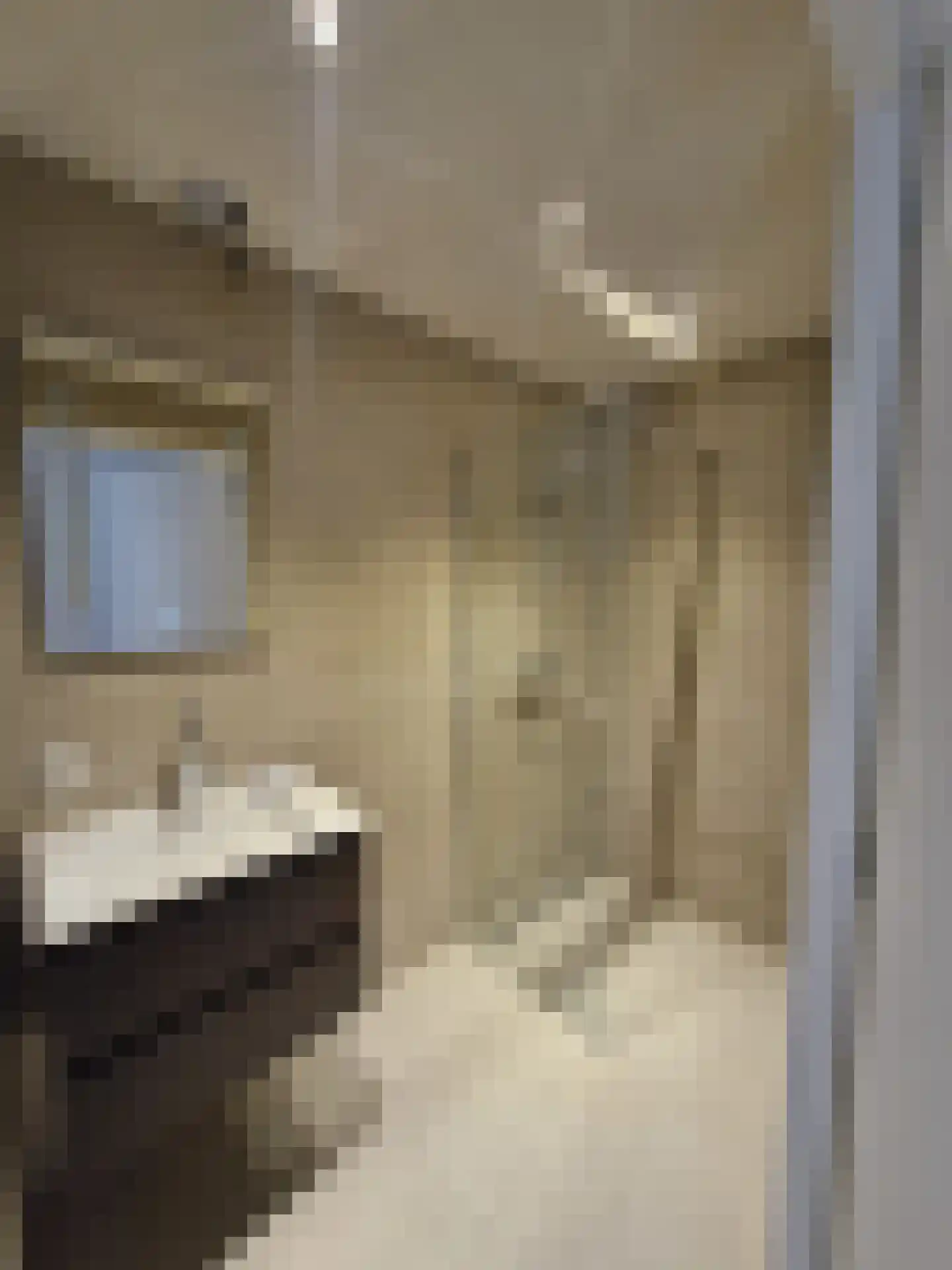Hoogstraat 62 Goirle thumbnail 9
