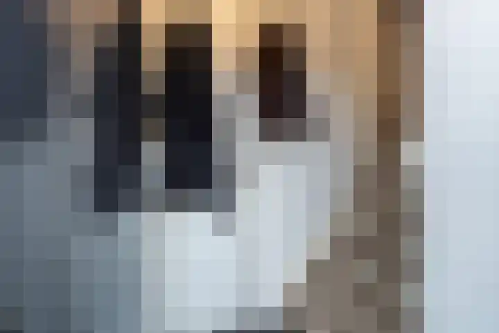 Hoogstraat 64 A Werkendam thumbnail 6