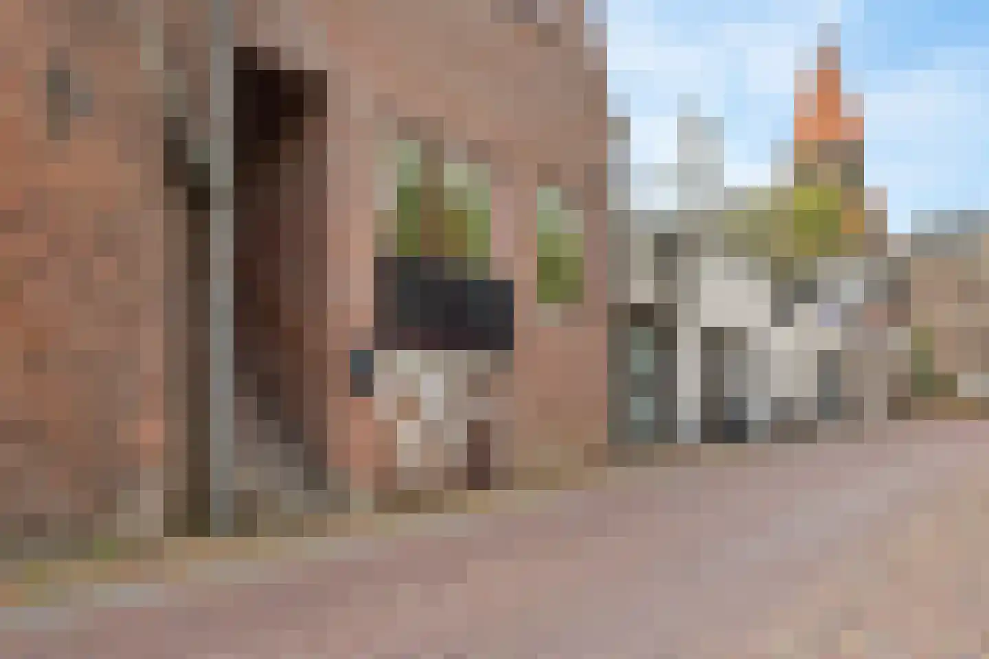 Hoogstraat 66 Montfoort thumbnail 27
