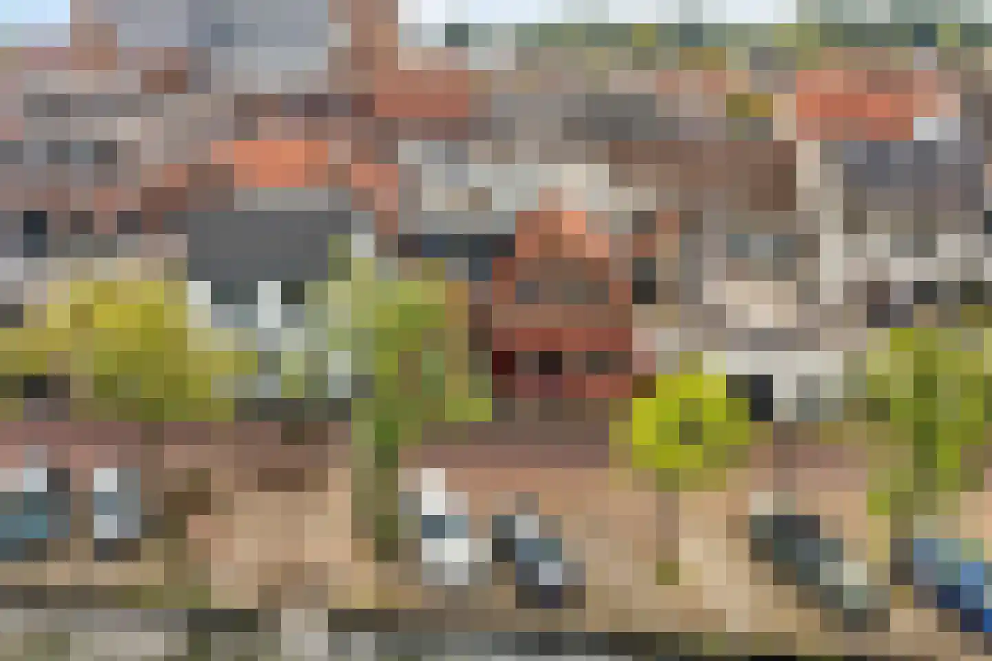 Hoogstraat 66 Montfoort thumbnail 29
