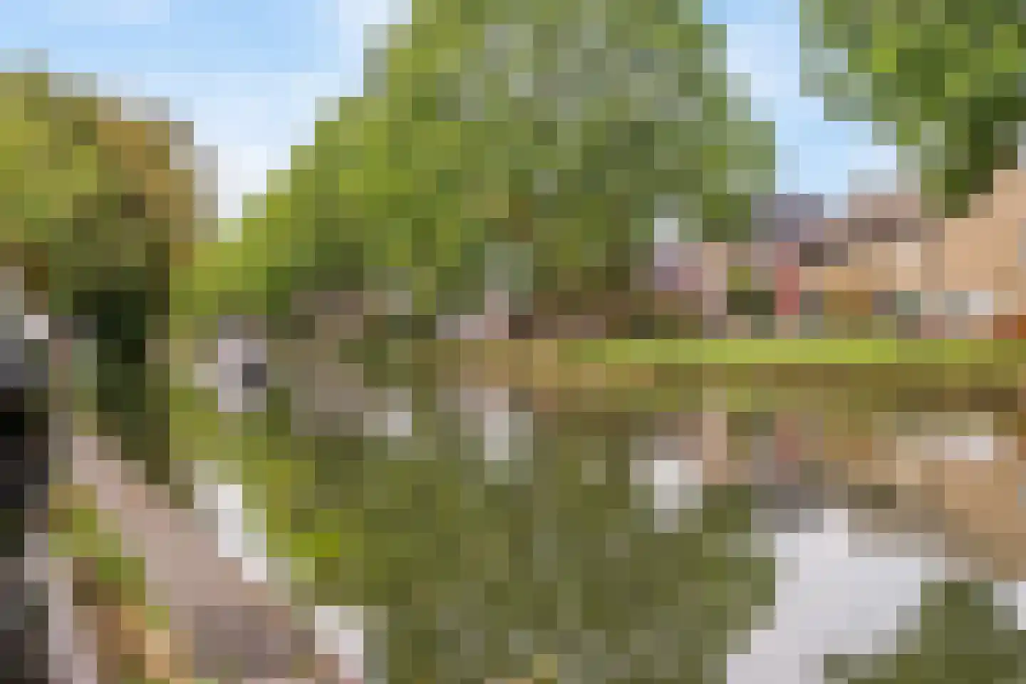 Hoogstraat 66 Montfoort thumbnail 35