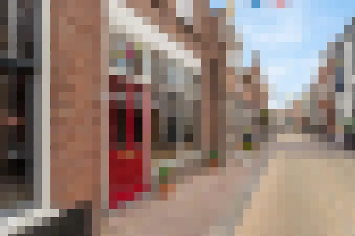 Hoogstraat 66 Montfoort thumbnail 5