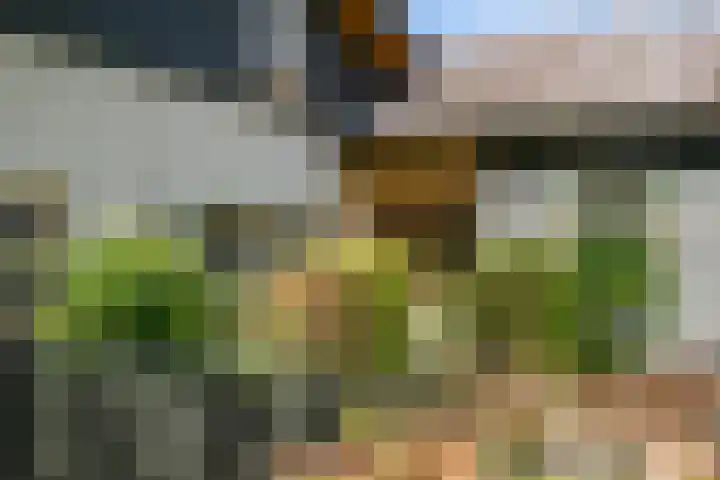 Hoogstraat 7 A Etten-Leur thumbnail 48