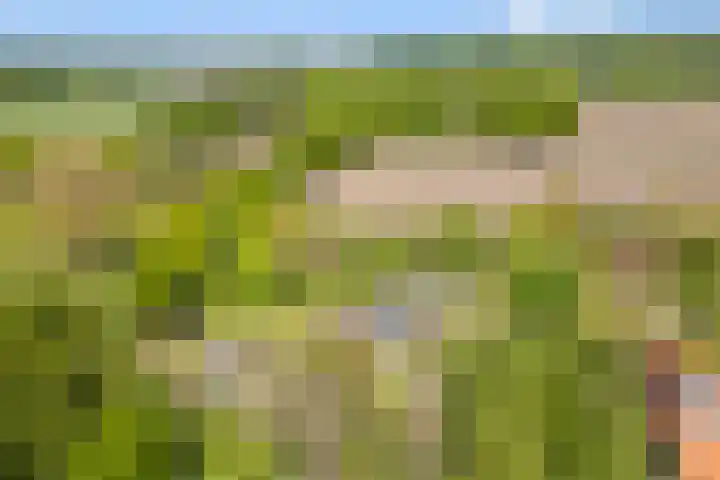 Hoogstraat 7 A Etten-Leur thumbnail 63